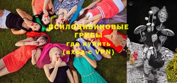 твердый Богданович