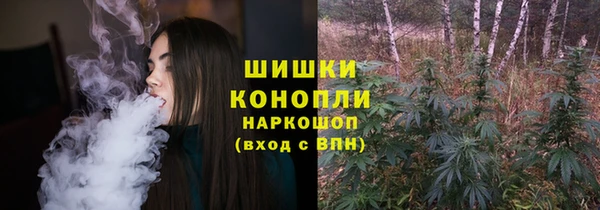 стаф Богородск