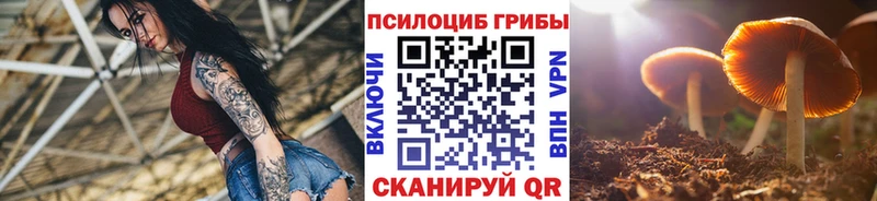 цена   Петухово  ссылка на мегу ссылки  Псилоцибиновые грибы Magic Shrooms 